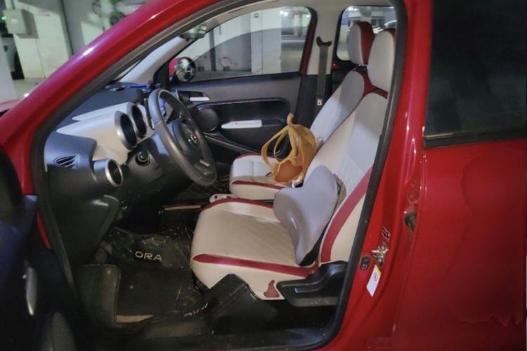 Used ORA Black Cat 2019 351 km Goddess Edition Interior 4