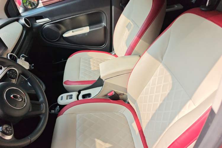 Used ORA Black Cat 2019 351 km Goddess Edition Left Front Seat