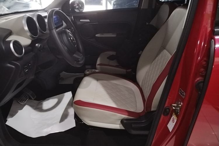 Used ORA Black Cat 2019 351 km Goddess Edition Left Front Seat
