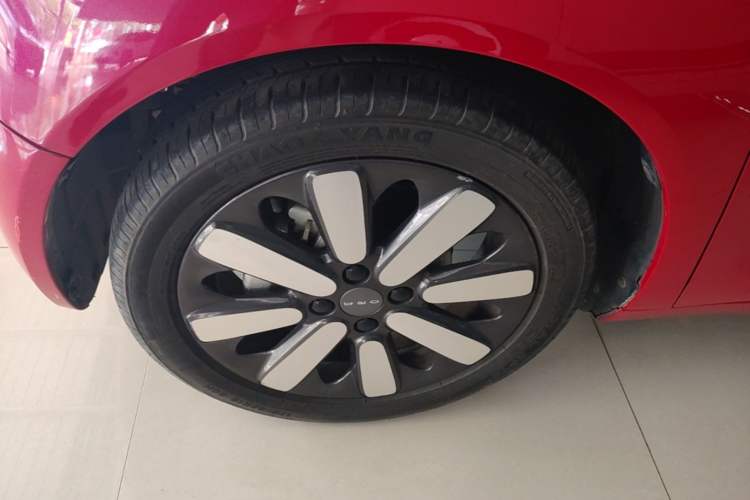 Used ORA Black Cat 2019 351 km Goddess Edition Left Front Wheel Hub