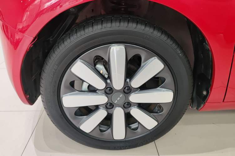 Used ORA Black Cat 2019 351 km Goddess Edition Left Front Wheel Hub