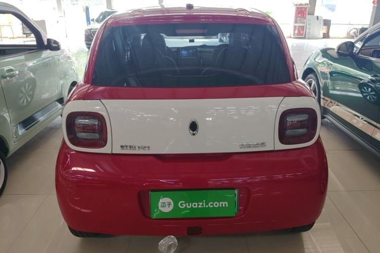 Used ORA Black Cat 2019 351 km Goddess Edition Rear
