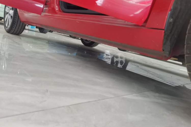 Used ORA Black Cat 2019 351 km Goddess Edition Right Side Sill