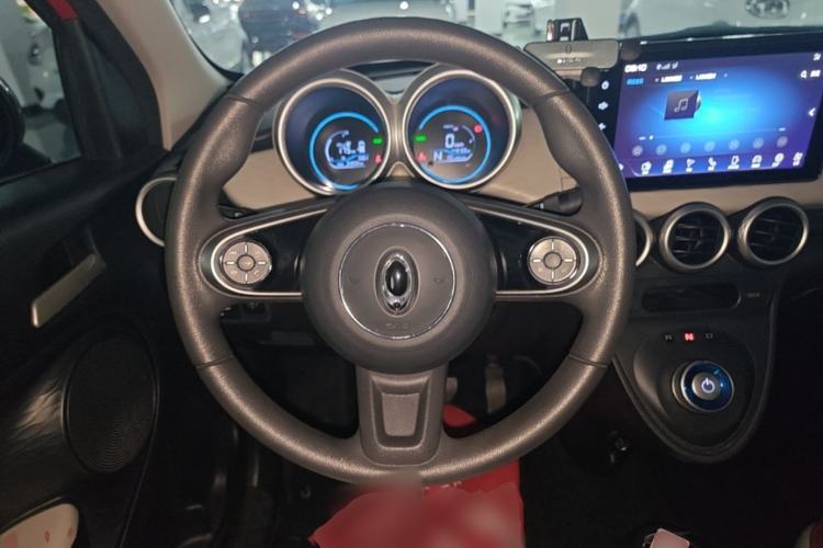 Used ORA Black Cat 2019 351 km Goddess Edition Steering Wheel