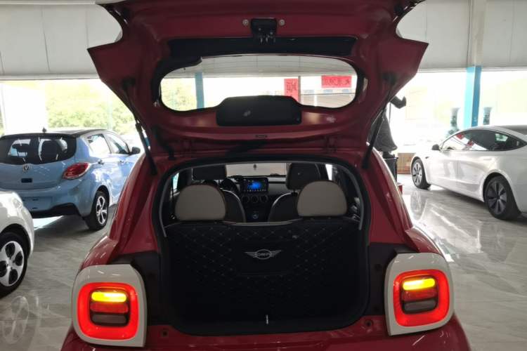 Used ORA Black Cat 2019 351 km Goddess Edition Trunk