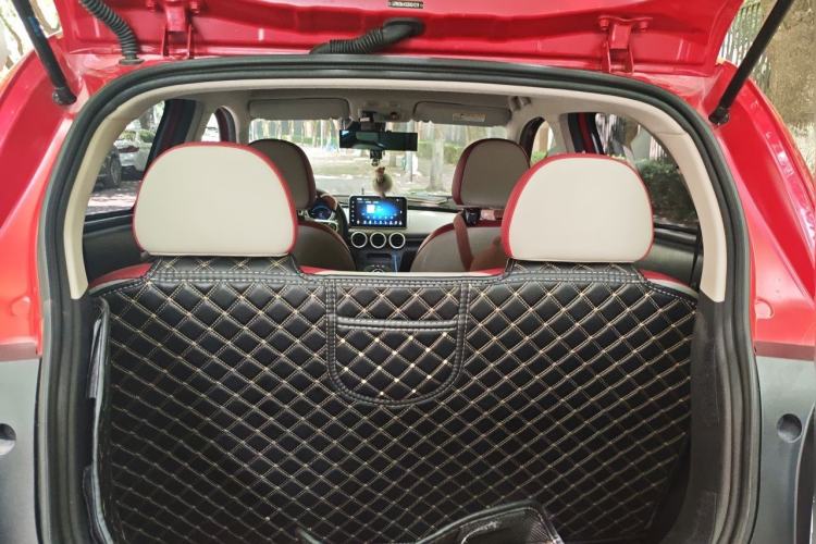 Used ORA Black Cat 2019 351 km Goddess Edition Trunk