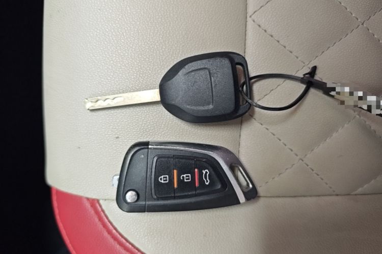 Used ORA Black Cat 2019 351 km Goddess Edition Vehicle Key