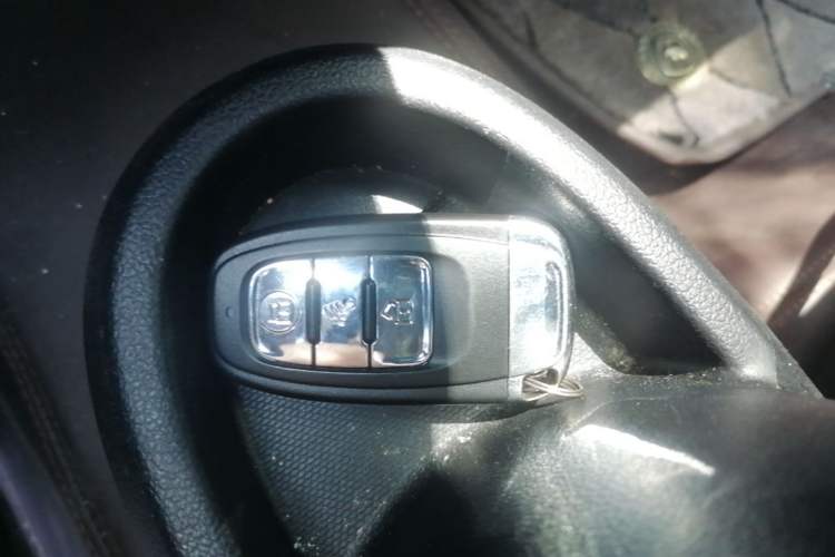 Used ORA Black Cat 2019 351 km Goddess Edition Vehicle Key