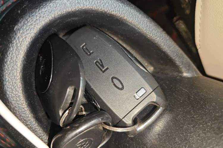Used ORA Black Cat 2019 351 km Goddess Edition Vehicle Key