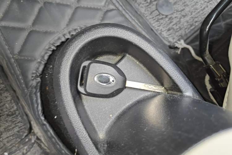 Used ORA Black Cat 2019 351 km Goddess Edition Vehicle Key