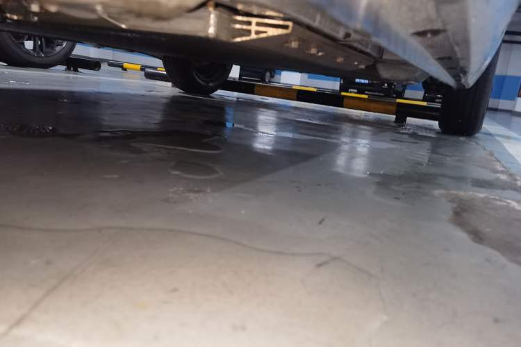 Used ORA Black Cat 2019 301km Standard Edition Chassis Front Left