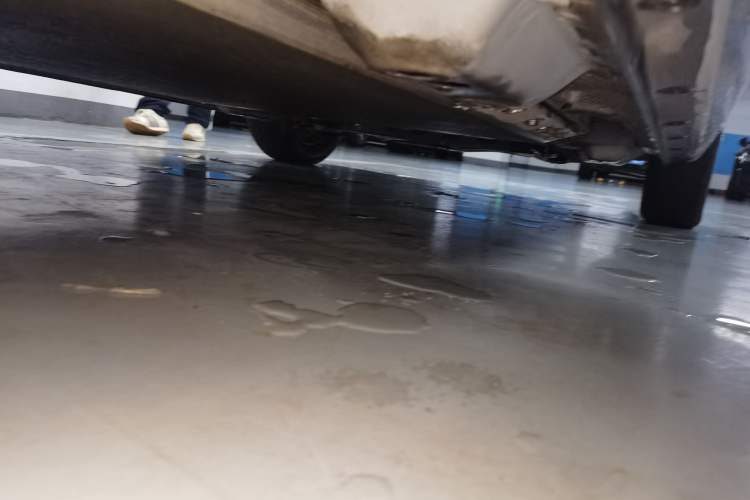 Used ORA Black Cat 2019 301km Standard Edition Chassis Rear Right