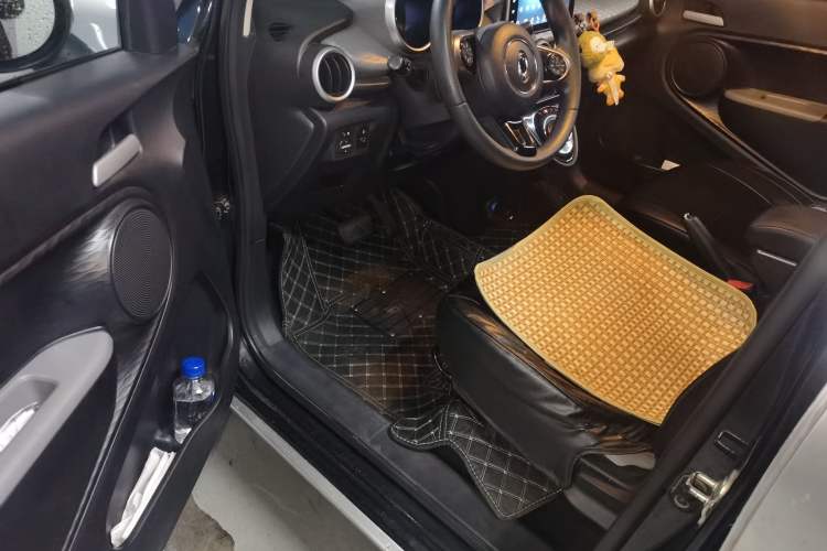 Used ORA Black Cat 2019 301km Standard Edition Driver Seat