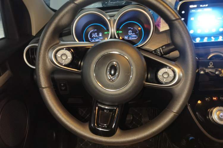 Used ORA Black Cat 2019 301km Standard Edition Steering Wheel