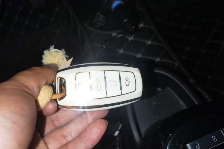 Used ORA Black Cat 2019 301km Standard Edition Vehicle Key
