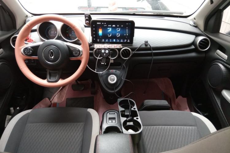 Used ORA Black Cat 2019 351 km Goddess Edition Center Console