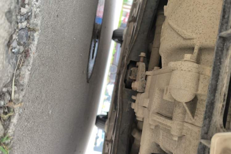 Used ORA Black Cat 2019 351 km Fun Edition Chassis Front