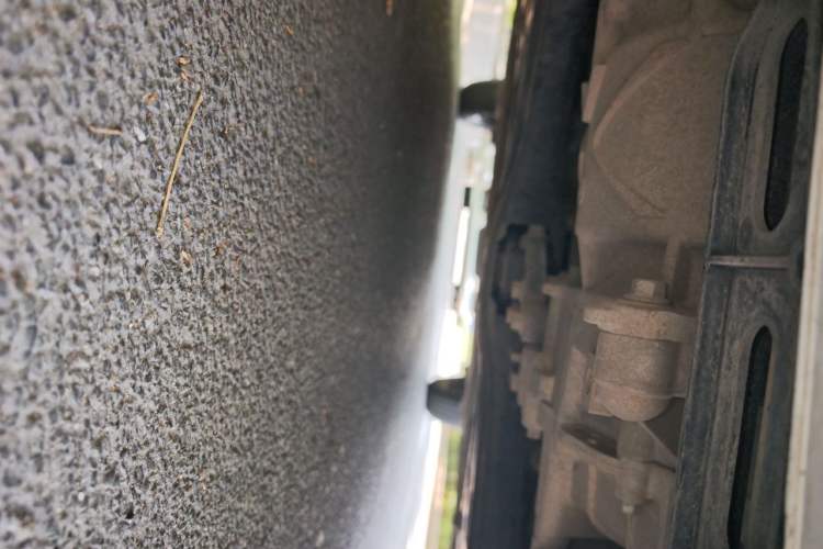 Used ORA Black Cat 2019 351 km Fun Edition Chassis Front