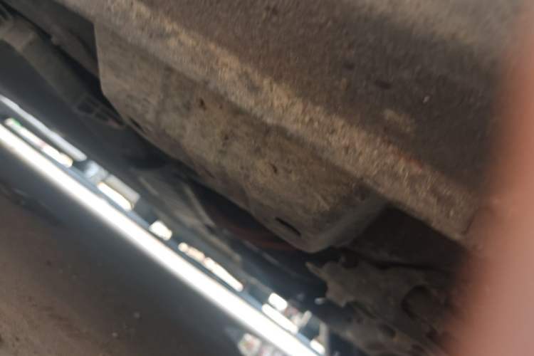 Used ORA Black Cat 2019 351 km Family Edition Chassis Front Right