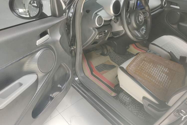 Used ORA Black Cat 2019 301km Standard Edition Driver Seat