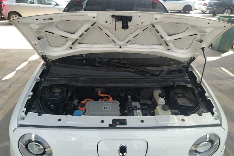Used ORA Black Cat 2019 351 km Goddess Edition Engine Bay