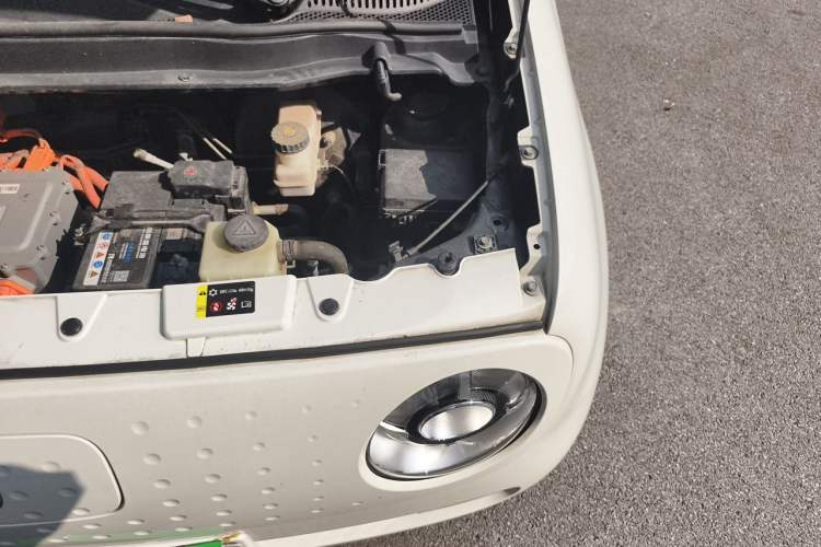 Used ORA Black Cat 2019 351 km Family Edition Engine Bay Left
