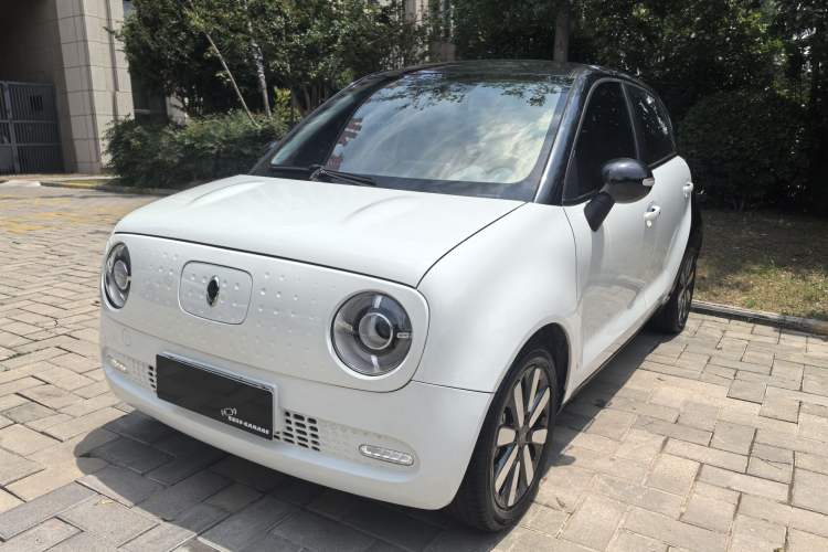 Used ORA Black Cat 2019 351 km Family Edition Exterior 1