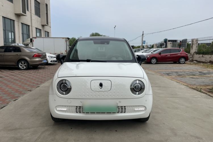 Used ORA Black Cat 2019 351 km Goddess Edition Exterior 1
