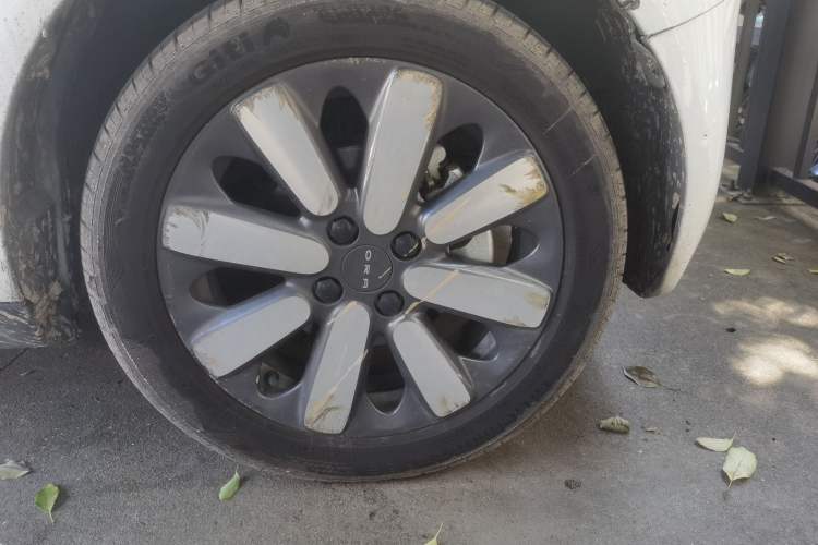 Used ORA Black Cat 2019 351 km Goddess Edition Exterior 1