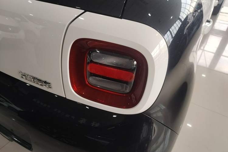 Used ORA Black Cat 2019 351 km Lingzhi Edition Exterior 3