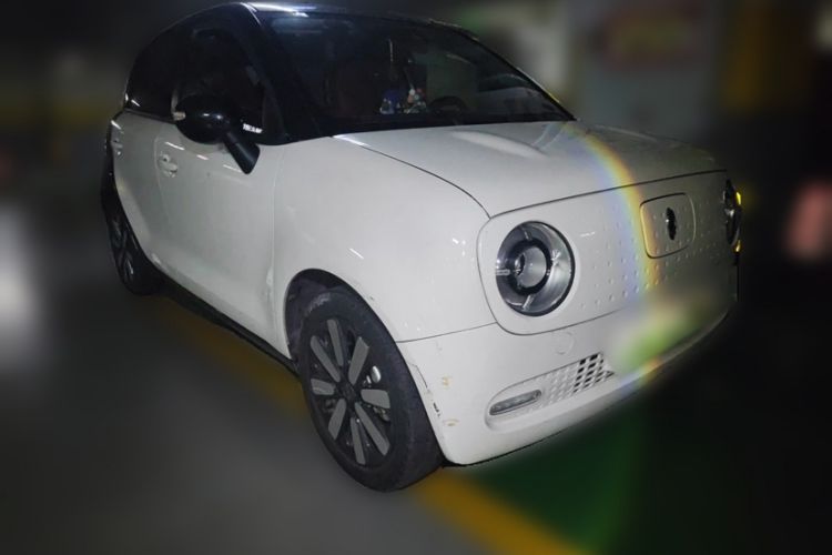 Used ORA Black Cat 2019 351 km Goddess Edition Exterior 3