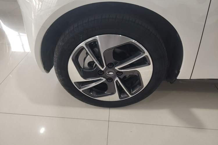 Used ORA Black Cat 2019 351 km Lingzhi Edition Exterior 4