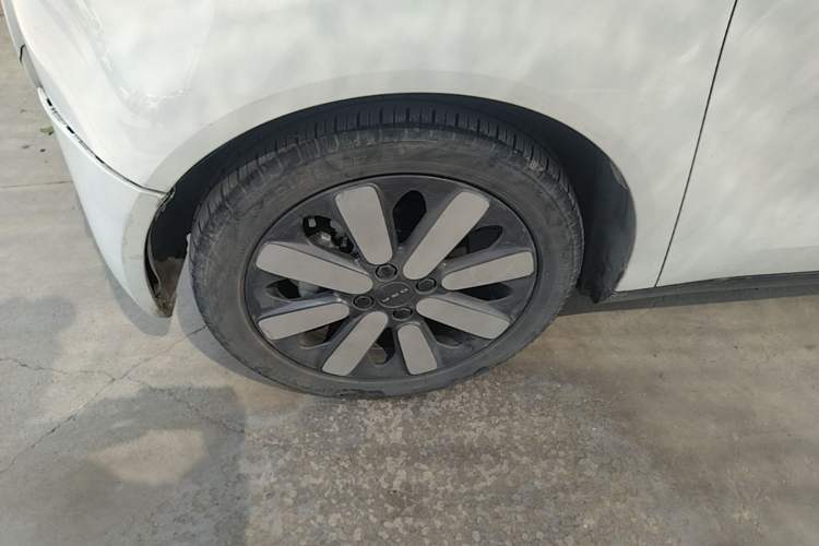 Used ORA Black Cat 2019 351 km Goddess Edition Exterior 4