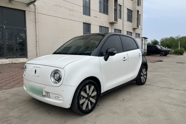 Used ORA Black Cat 2019 351 km Goddess Edition Exterior 4