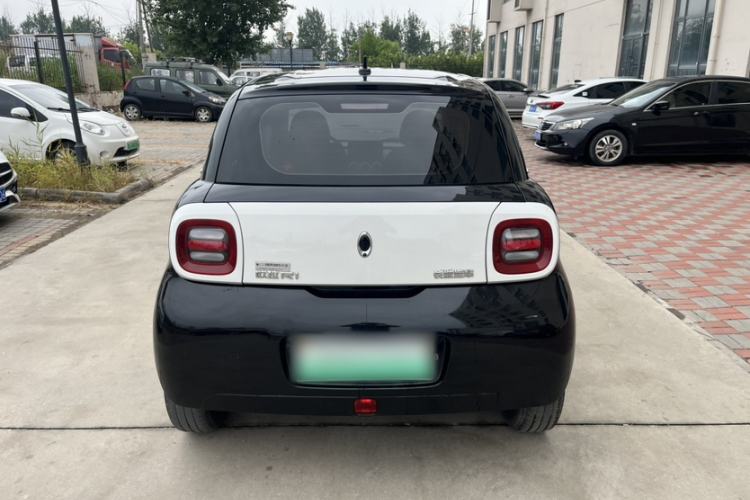 Used ORA Black Cat 2019 351 km Goddess Edition Exterior 5