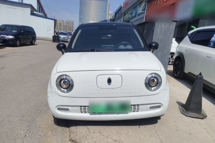 Used ORA Black Cat 2019 351 km Family Edition Front