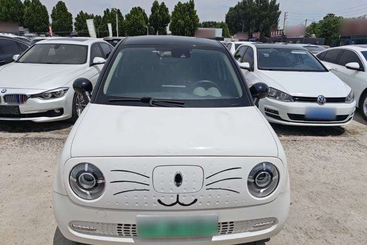 Used ORA Black Cat 2019 351 km Goddess Edition Front