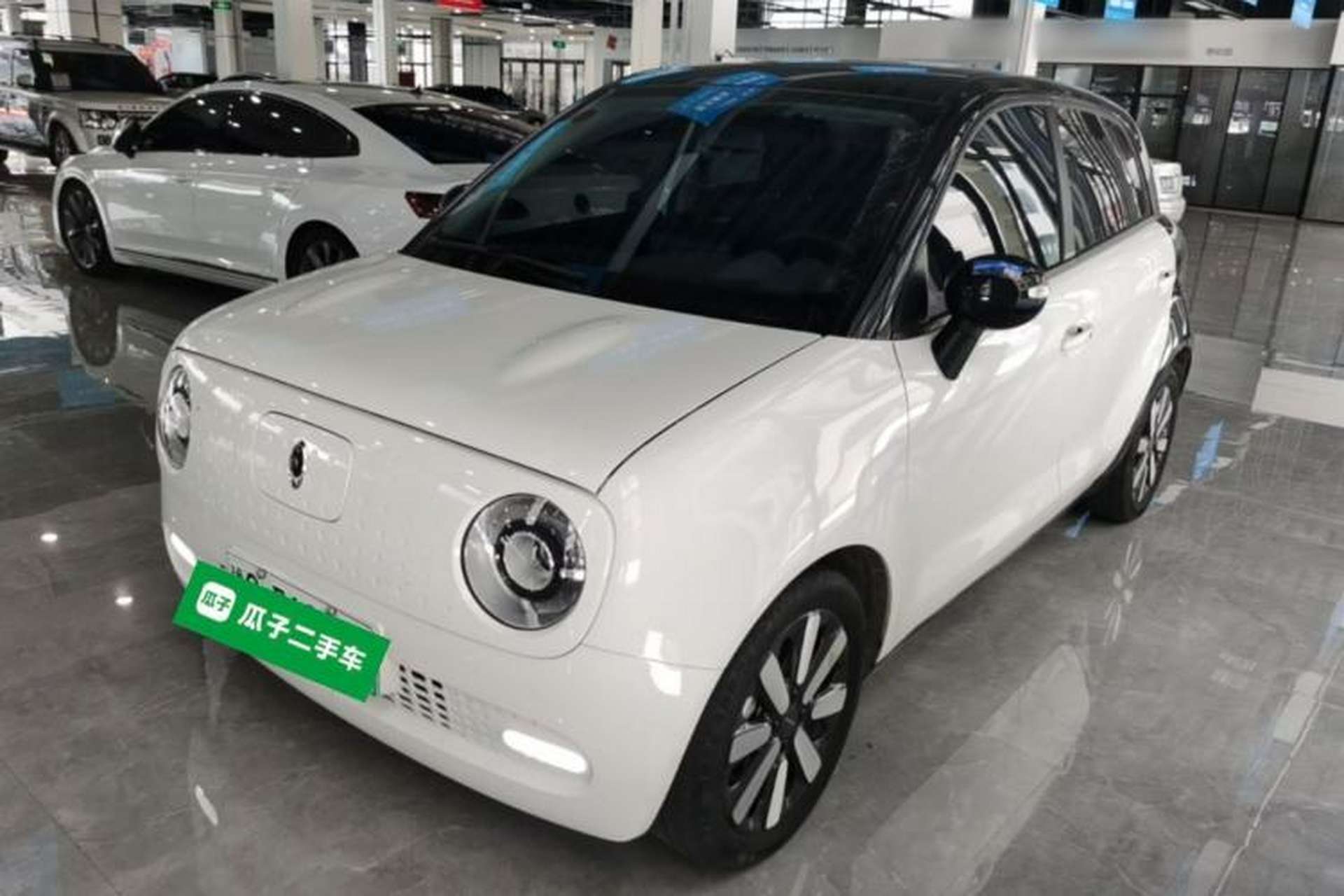 Used ORA Black Cat 2019 351 km Family Edition Front Left 45 Deg