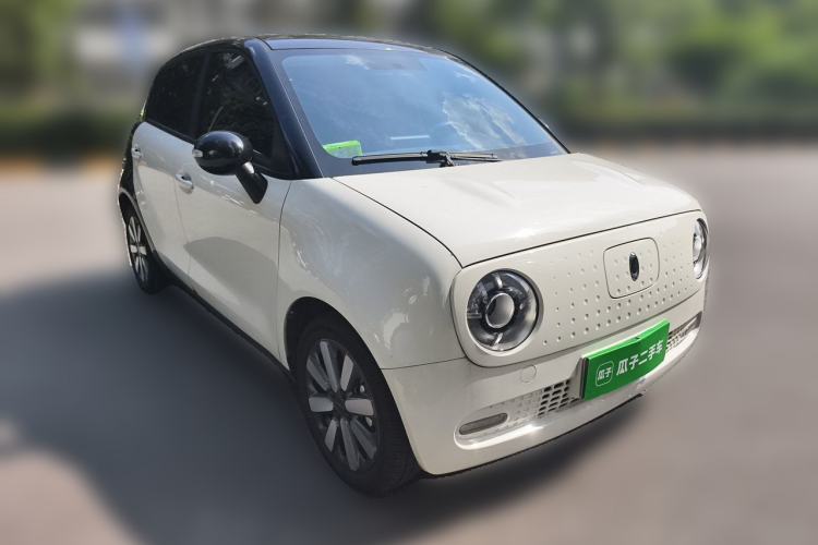 Used ORA Black Cat 2019 351 km Family Edition Front Right 45 Deg