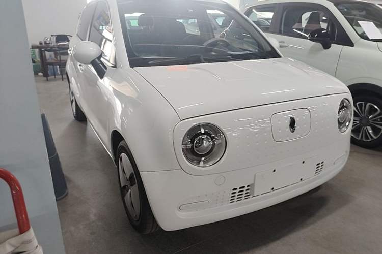 Used ORA Black Cat 2019 310km Fun Edition Front Right 45 Deg