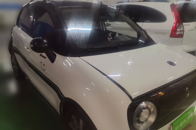 Used ORA Black Cat 2019 351 km Goddess Edition Front Right 45 Deg