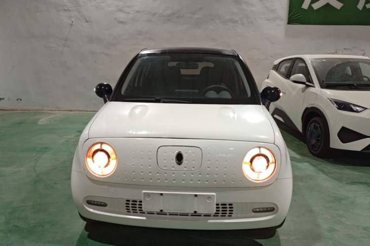 Used ORA Black Cat 2019 351 km Family Edition Front