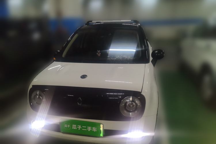 Used ORA Black Cat 2019 351 km Goddess Edition Front