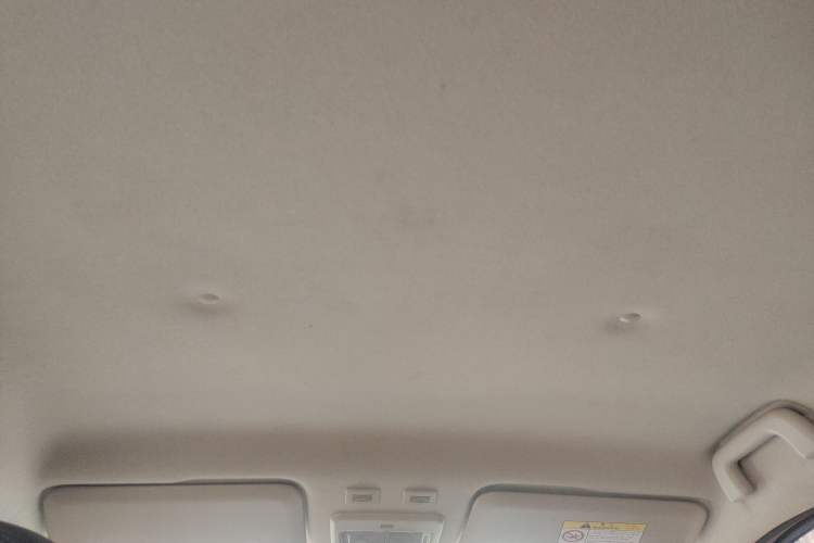 Used ORA Black Cat 2019 351 km Fun Edition Headliner