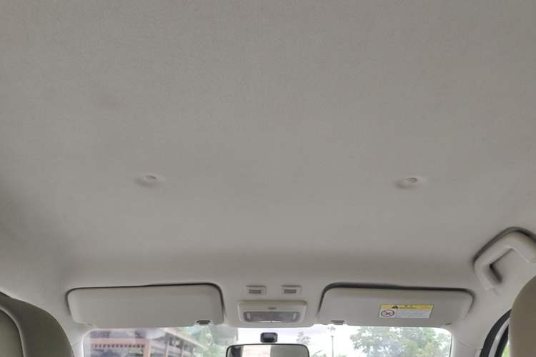 Used ORA Black Cat 2019 351 km Fun Edition Headliner