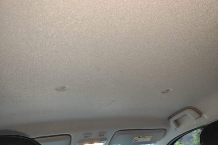Used ORA Black Cat 2019 301km Standard Edition Headliner