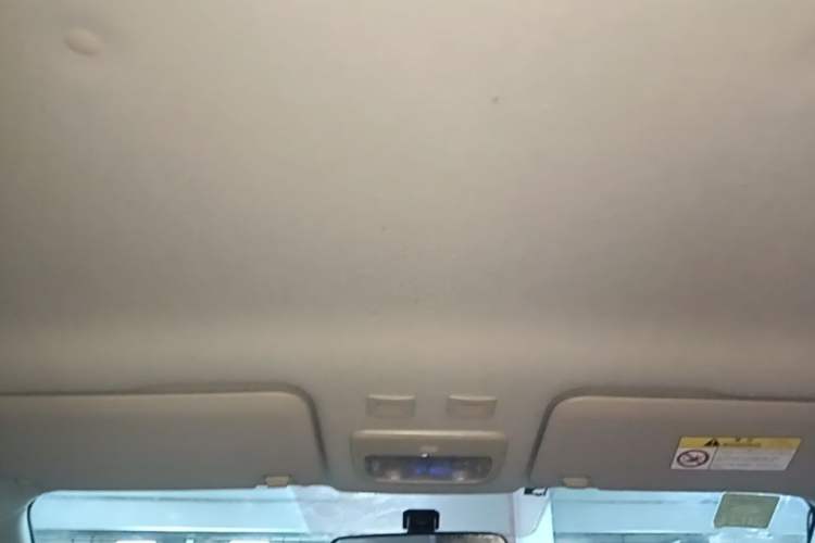 Used ORA Black Cat 2019 351 km Fun Edition Headliner