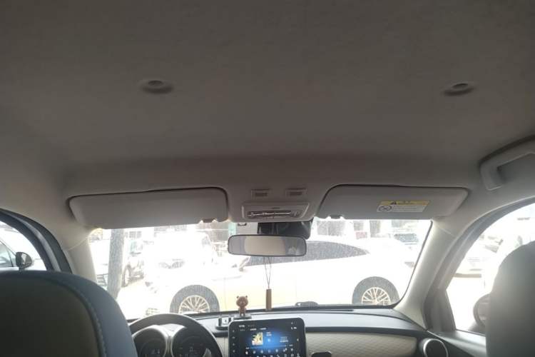 Used ORA Black Cat 2019 351 km Lingzhi Edition Headliner
