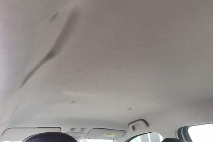 Used ORA Black Cat 2019 351 km Fun Edition Headliner