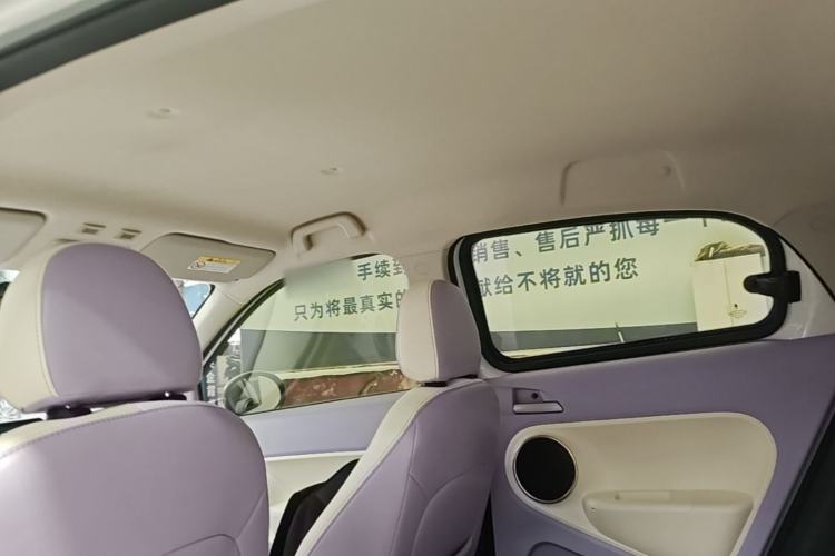 Used ORA Black Cat 2019 351 km Fun Edition Headliner